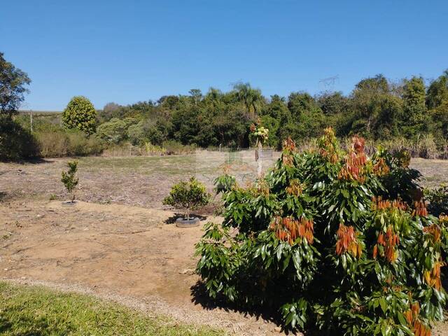 #125 - Chácara para Venda em Pilar do Sul - SP - 3